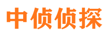 铁山侦探公司